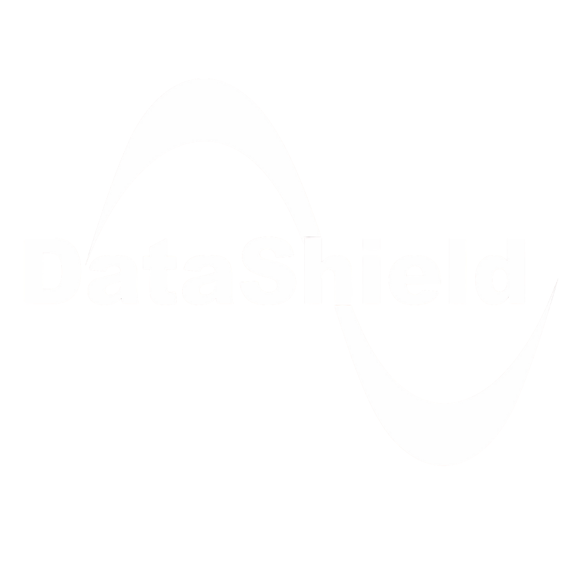 DataShield Logo