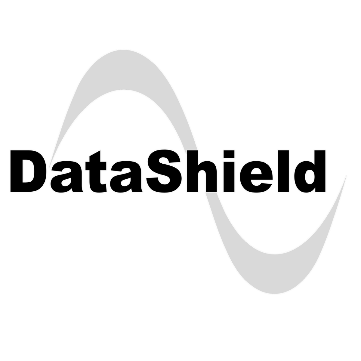DataShield Logo